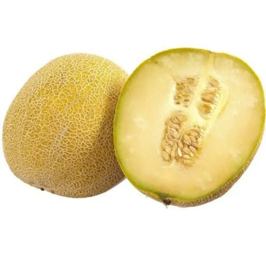 Melon Galia